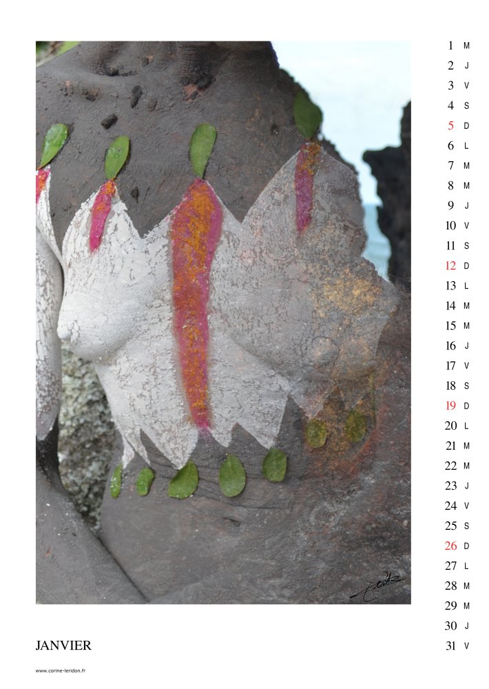 La page du mois de Janvier du calendrier d'art «Zone Tactile 2014»