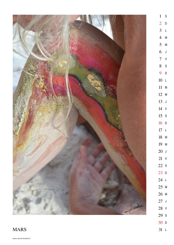La page du mois de Mars du calendrier d'art «Zone Tactile 2014»