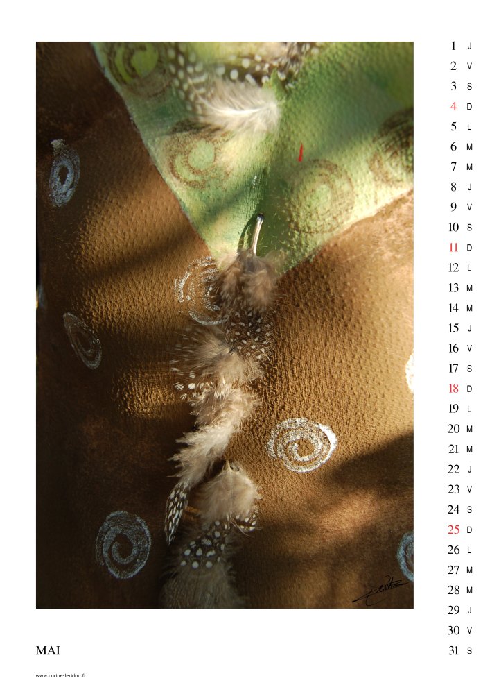 La page du mois de Mai du calendrier d'art «Zone Tactile 2014»