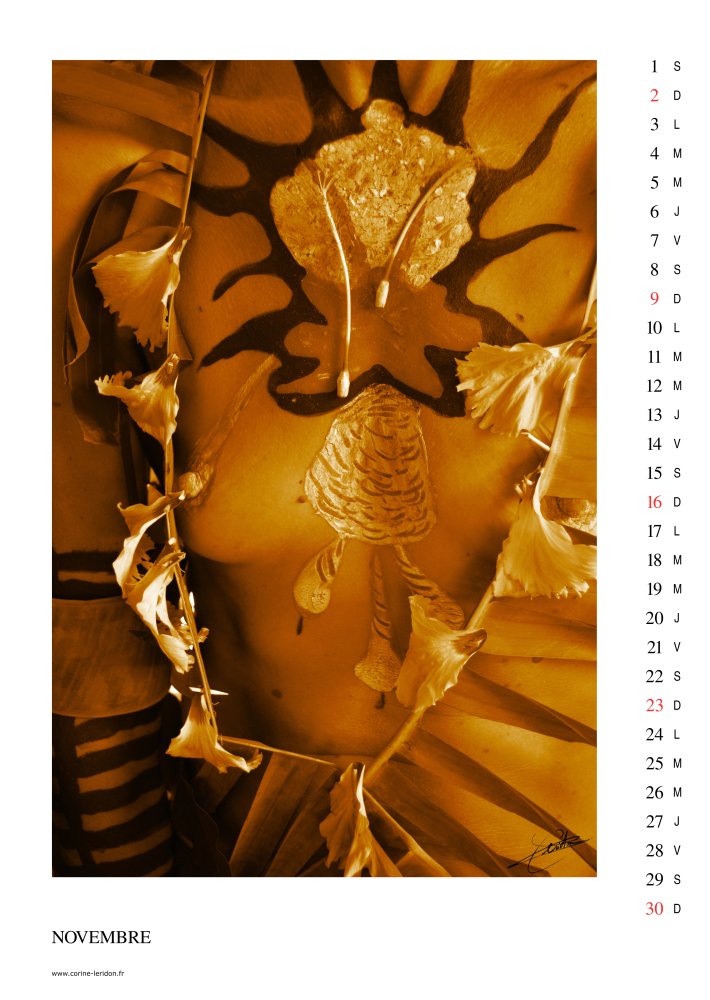 La page du mois de Novembre du calendrier d'art «Zone Tactile 2014»